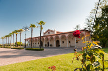 Carica l'immagine nel visualizzatore di Gallery, Evento: Legami di Legumi - 22 novembre 2025