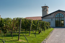Carica l'immagine nel visualizzatore di Gallery, Yoga Class sul lago alla Fenice o in vigna a Ca' dei Frati