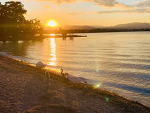 Carica l'immagine nel visualizzatore di Gallery, Capodanno sul lago - 31 dicembre 2025