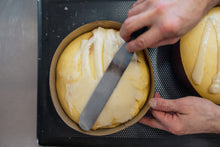 Carica l'immagine nel visualizzatore di Gallery, Veneziana, il panettone della Fenice