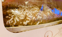 Carica l'immagine nel visualizzatore di Gallery, Luganotto®️- il dolce della Fenice