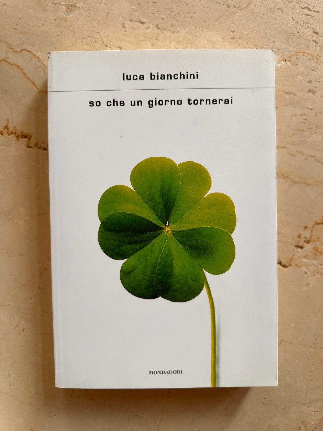 Libro: So che un giorno tornerai