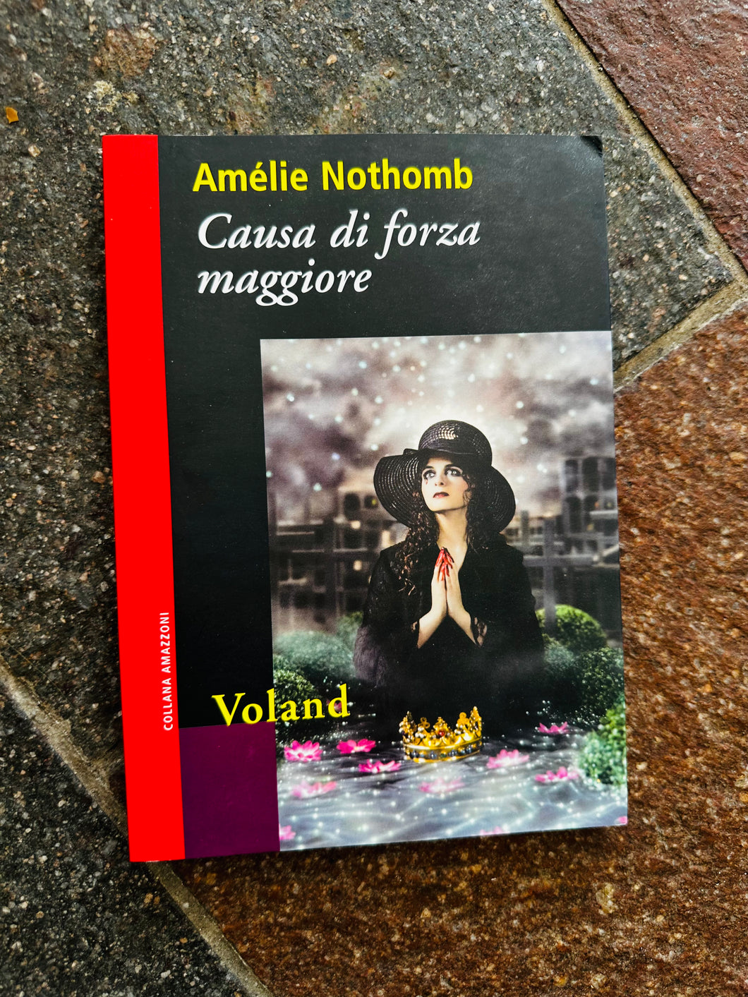 Libro: Causa di forza maggiore