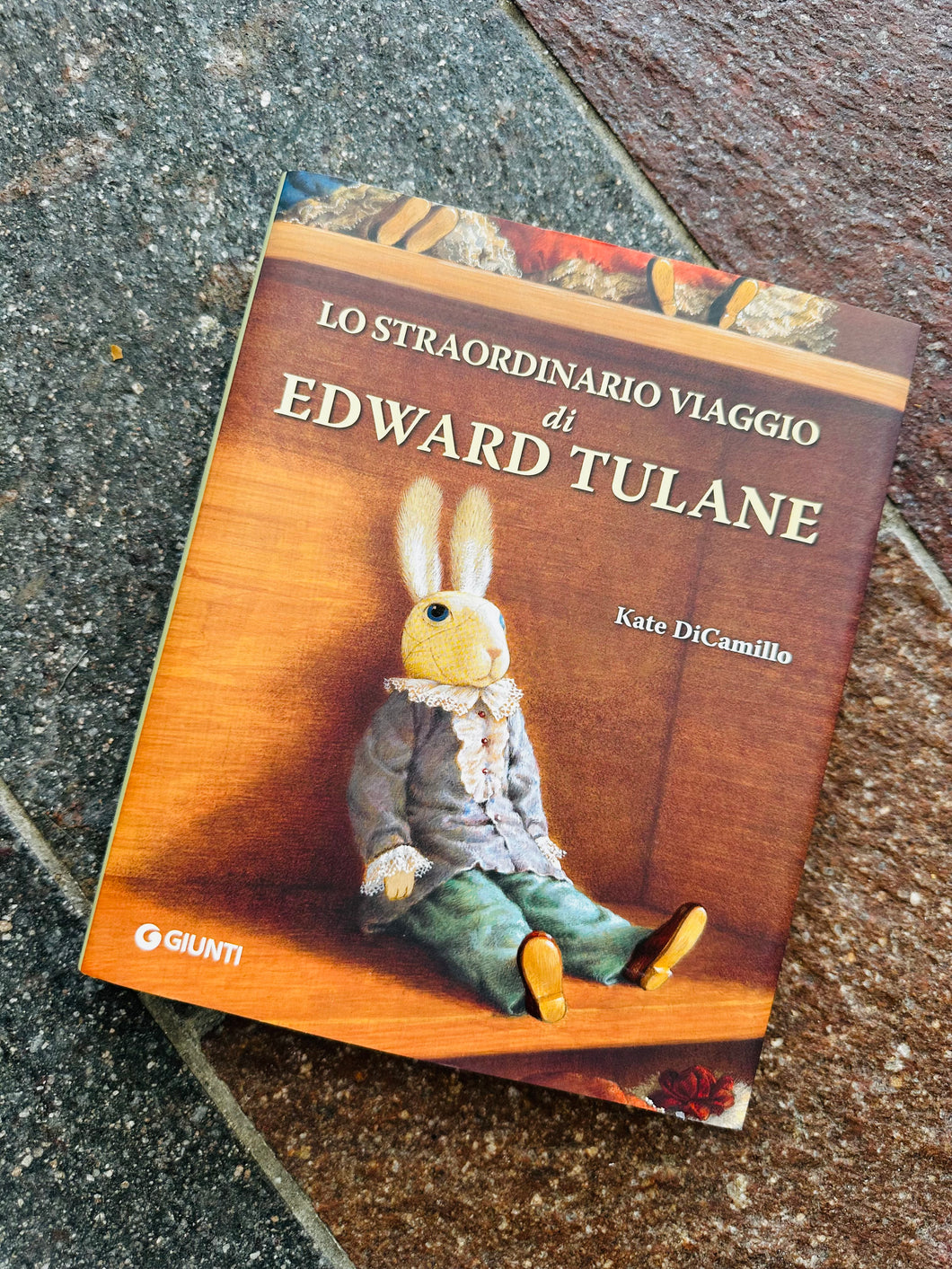 Libro: Lo straordinario viaggio di Edward Tulane