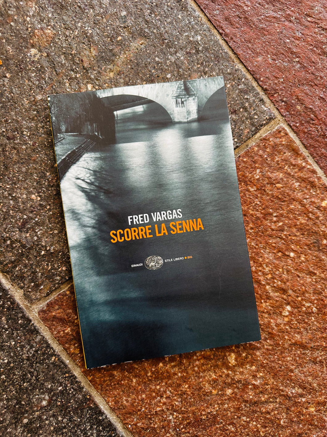 Libro: Scorre la Senna