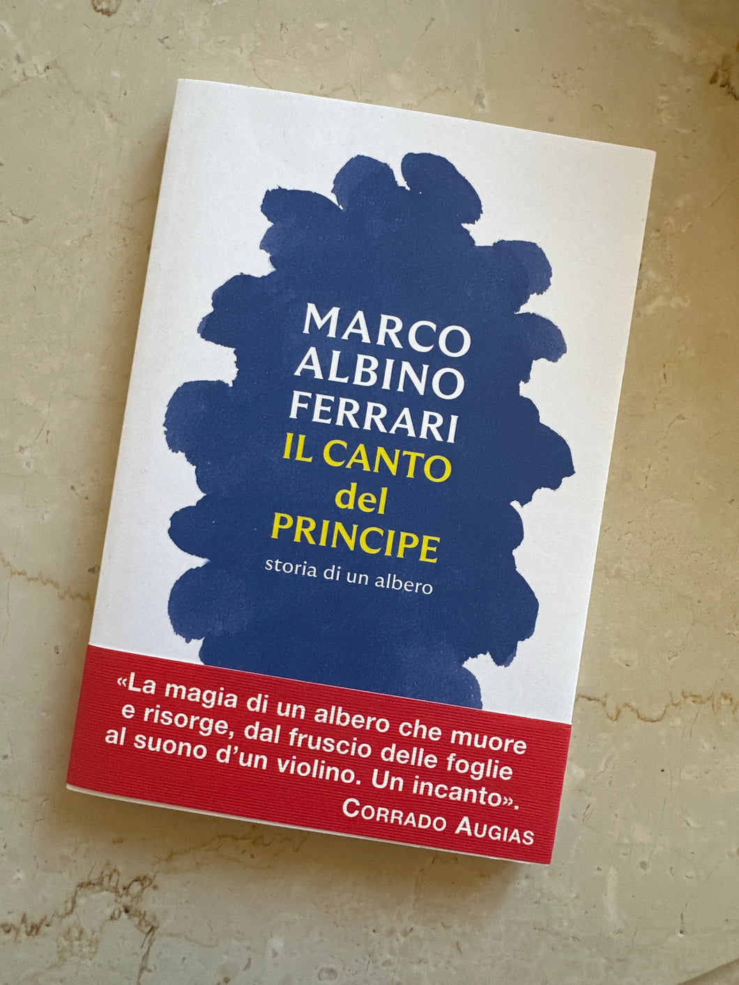 Libro: Il canto del principe