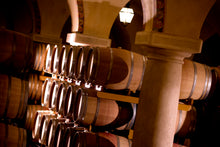 Carica l'immagine nel visualizzatore di Gallery, Wine Tour Ca' dei Frati (prenotazione a data chiusa tour in gruppo)
