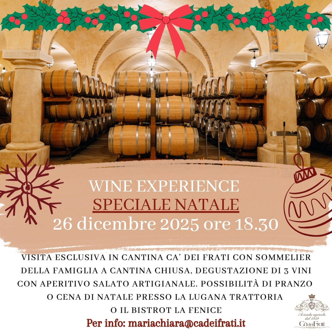 Proposte di Natale - 25 e 26 dicembre 2025